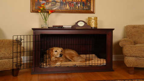 Crate Training A Golden Retriever Golden Retrievers Training