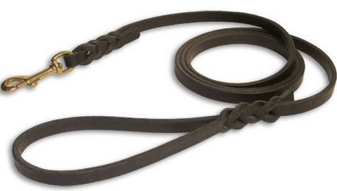 Dog Leather Leash