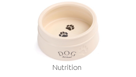 Dog Nutrition